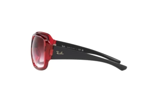 Vue latérale Ray-Ban POWDERHORN (RB4347 - 66628H)