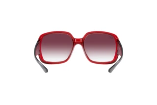 Vue arrière Ray-Ban POWDERHORN (RB4347 - 66628H)