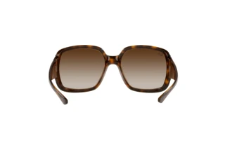 Vue arrière Ray-Ban POWDERHORN (RB4347 - 710/13)