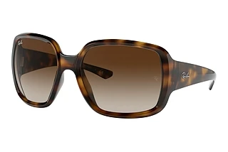 Vue de face Ray-Ban POWDERHORN (RB4347 - 710/13)