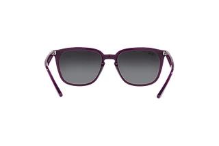 Vue arrière Ray-Ban RB4362 (65718G)