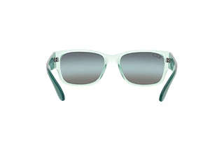 Vue arrière Ray-Ban RB4388 (6646G6)