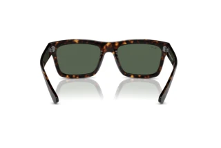 Vue arrière Ray-Ban WARREN (RB4396 - 135971)