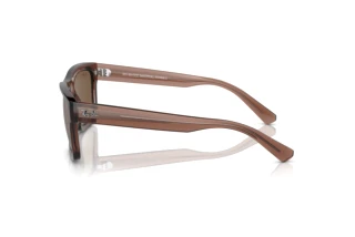 Vue latérale Ray-Ban WARREN (RB4396 - 667873)