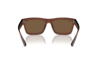 Vue arrière Ray-Ban WARREN (RB4396 - 667873)