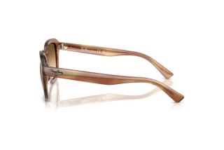 Vue latérale Ray-Ban ERIK (RB4398 - 140351)