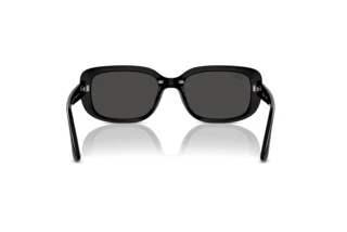 Vue arrière Ray-Ban RB4421D (667787)