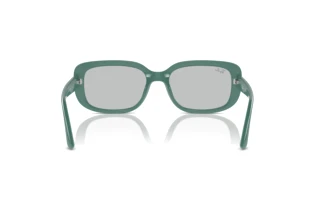 Vue arrière Ray-Ban RB4421D (676287)