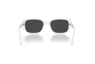 Vue arrière Ray-Ban RB4421D (677287)