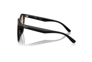 Vue latérale Ray-Ban RB4423D (601/93)