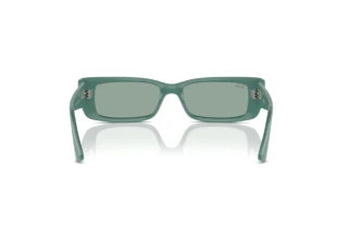 Vue arrière Ray-Ban TERU (RB4425 - 676282)