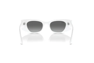 Vue arrière Ray-Ban KAT (RB4427 - 675911)