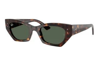 Vue de face Ray-Ban ZENA (RB4430 - 135971)