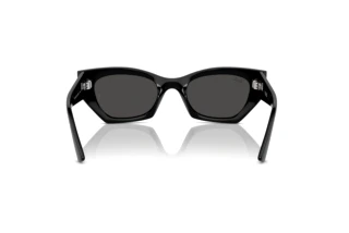 Vue arrière Ray-Ban ZENA (RB4430 - 667787)