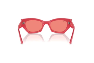 Vue arrière Ray-Ban ZENA (RB4430 - 676084)