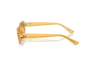 Vue latérale Ray-Ban RB4436D (668213)