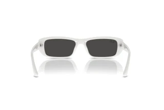 Vue arrière Ray-Ban RB4436D (677287)