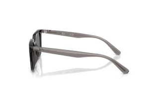 Vue latérale Ray-Ban RB4439D (667587)