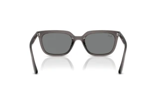 Vue arrière Ray-Ban RB4439D (667587)