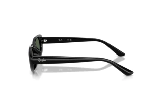 Vue latérale Ray-Ban RB4441D (667771)