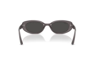 Vue arrière Ray-Ban RB4441D (677787)