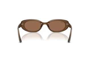 Vue arrière Ray-Ban RB4441D (677973)