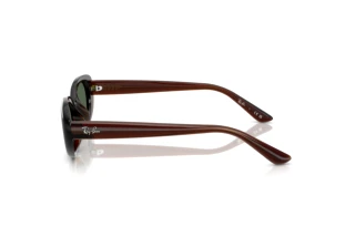 Vue latérale Ray-Ban RB4441D (714/71)