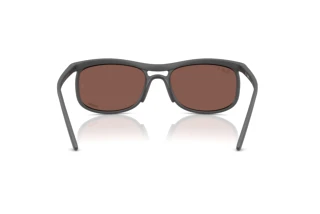Vue arrière Ray-Ban RB4452CH (60171A)