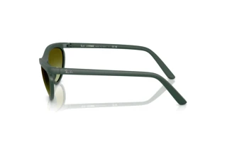 Vue latérale Ray-Ban RB4453 (6016E8)