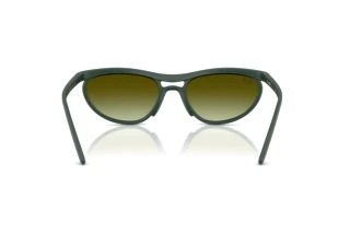 Vue arrière Ray-Ban RB4453 (6016E8)