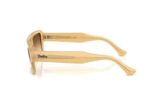 Vue latérale Ray-Ban FLACKO (RB4454 - 680651)