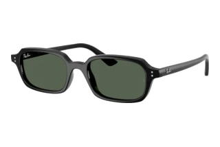 Vue de face Ray-Ban ZURI (RB4455 - 667771)