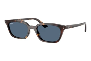 Vue de face Ray-Ban ZAYA (RB4456 - 135980)