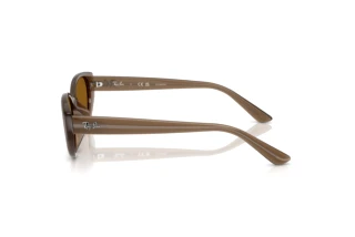 Vue latérale Ray-Ban RB4457D (677983)