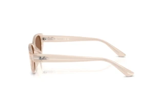 Vue latérale Ray-Ban RB4457D (678673)