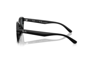 Vue latérale Ray-Ban RB4458D (601/81)