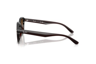 Vue latérale Ray-Ban RB4458D (714/13)