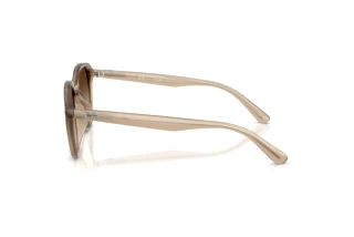 Vue latérale Ray-Ban RB4459D (616613)