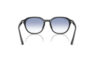 Vue arrière Ray-Ban RB4459D (623019)