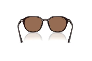 Vue arrière Ray-Ban RB4459D (623173)