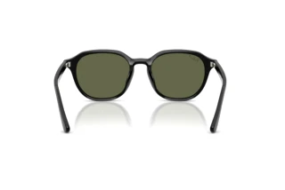 Vue arrière Ray-Ban RB4459D (901/9A)