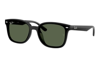 Vue de face Ray-Ban RB4461D (601/71)