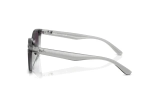 Vue latérale Ray-Ban RB4461D (64508G)