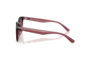 Vue latérale Ray-Ban RB4461D (659373)