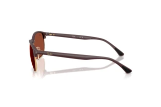 Vue latérale Ray-Ban RB4469 (64451B)