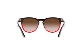 Vue arrière Ray-Ban IRIS (RB4471 - 663113)