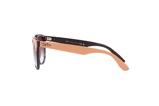 Vue latérale Ray-Ban IRIS (RB4471 - 66338H)