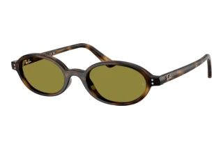Vue de face Ray-Ban RB4472 (1359/2)