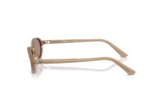 Vue latérale Ray-Ban RB4472 (6891LA)