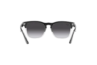 Vue arrière Ray-Ban STEVE (RB4487 - 66308G)